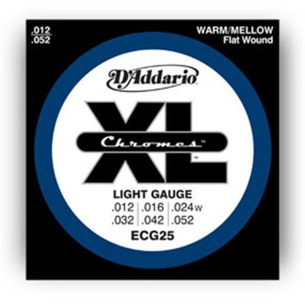 DAddario - ECG25