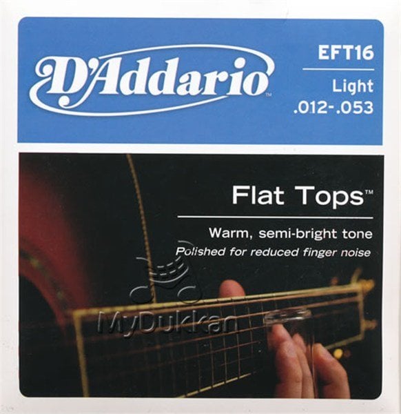 DAddario - EFT16