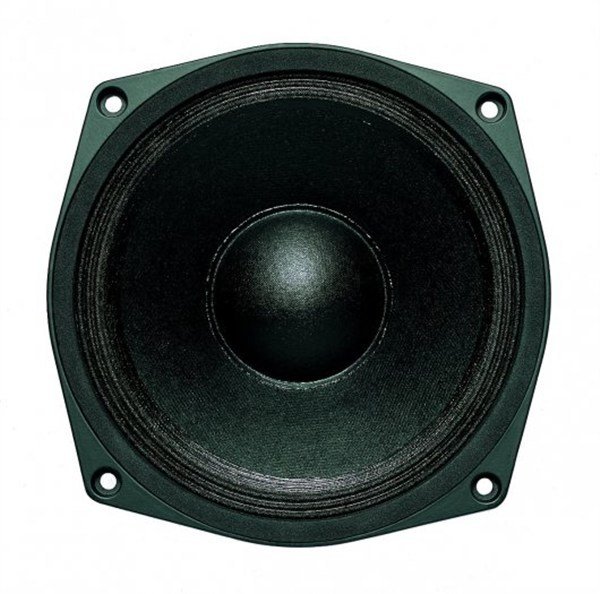 B&C 6MDN44 - 6.5'' 150/300W Midrange Çıplak Hoparlör