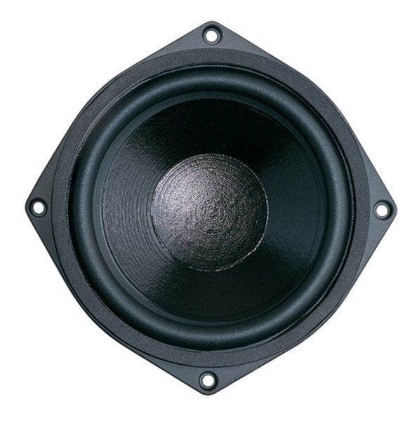 B&C 6NDL38 - 6.5 inç 150/300W Neodymium Çıplak Mid Hoparlör