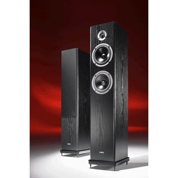 Acoustic Energy Neo Three (Black) Pasif 2.5 Yollu Floor Hi-fi Hoparlör, 170W (Çift)