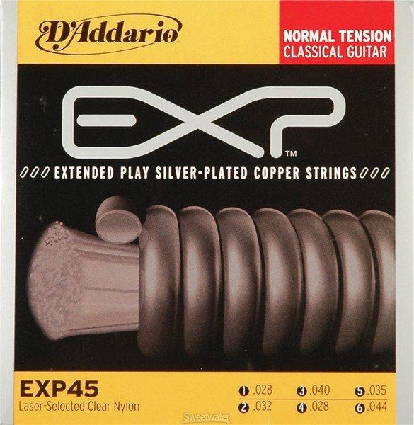 DAddario - EXP45