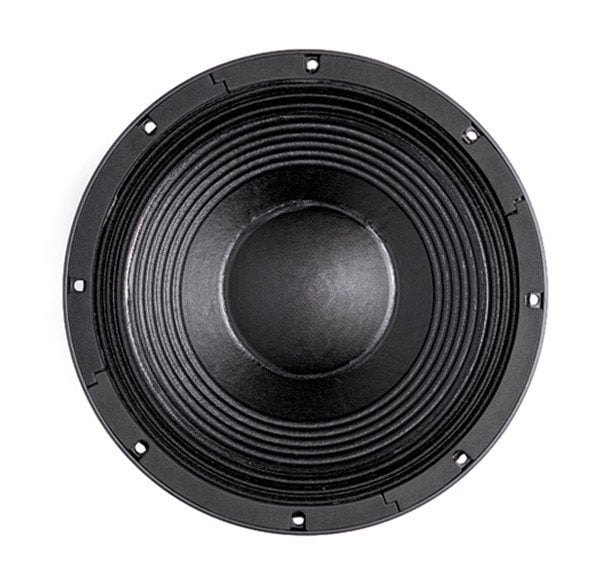 B&C 12TBX100 12 inç 1000/2000W Çıplak Sub Bass Hoparlör