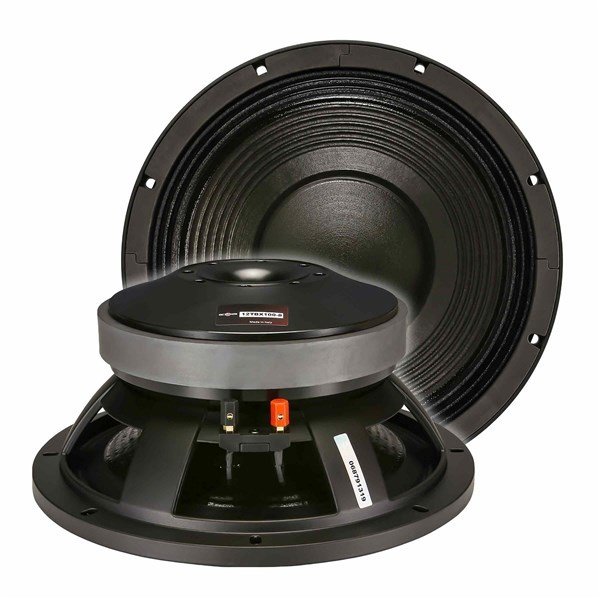 B&C 12TBX100 12 inç 1000/2000W Çıplak Sub Bass Hoparlör