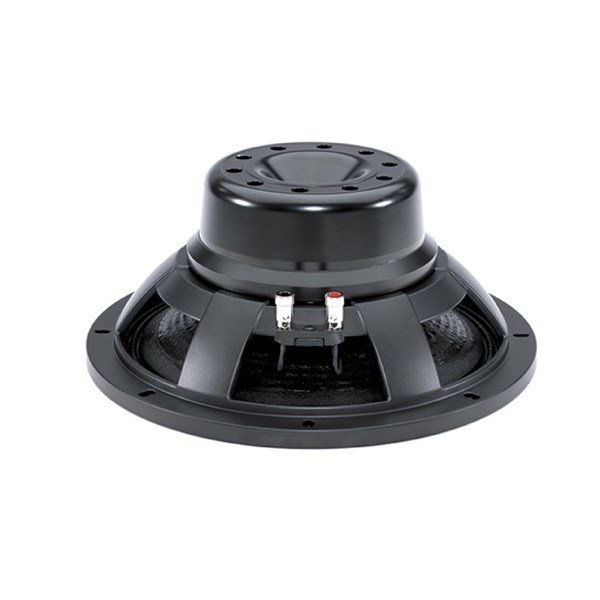 B&C 12NW100 - 12'' 1000/2000W Sub Bass Çıplak Hoparlör