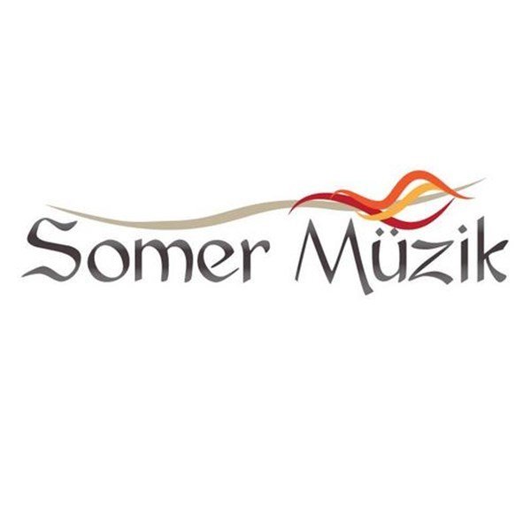 Solomon SL-20 R SL 20 / 30 Rezistansı