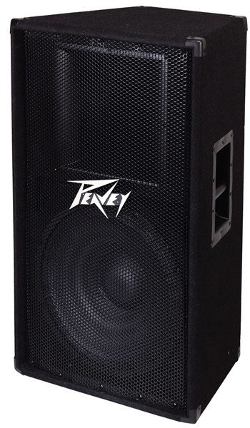 Peavey PV 115