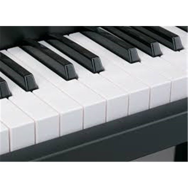 Roland AT-100 Atelier Org