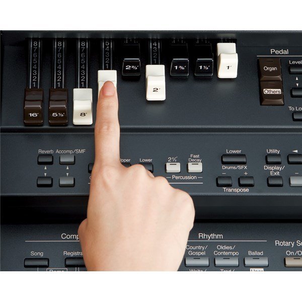 Roland AT-100 Atelier Org