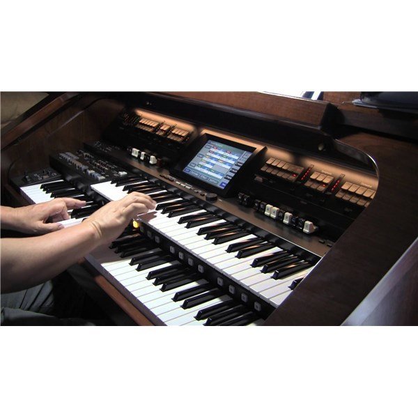 Roland AT-900P Platinum Edition Ateiler Org