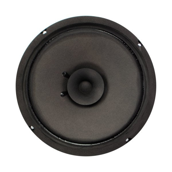 Denox 200/40 20 cm 60 Watt 8 Ohm Çıplak Hoparlör