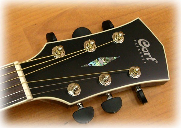 CORT - PW 310 OP