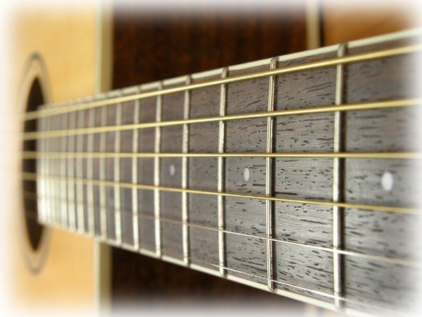 CORT - PW 310 OP