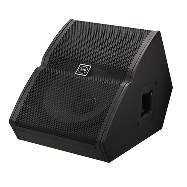 Leem TX 15M - 15'' 350W Pasif Sahne Monitörü