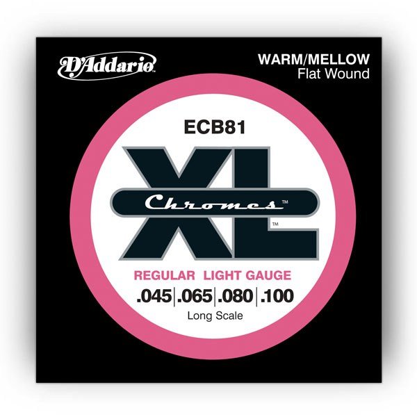 DAddario - ECB81