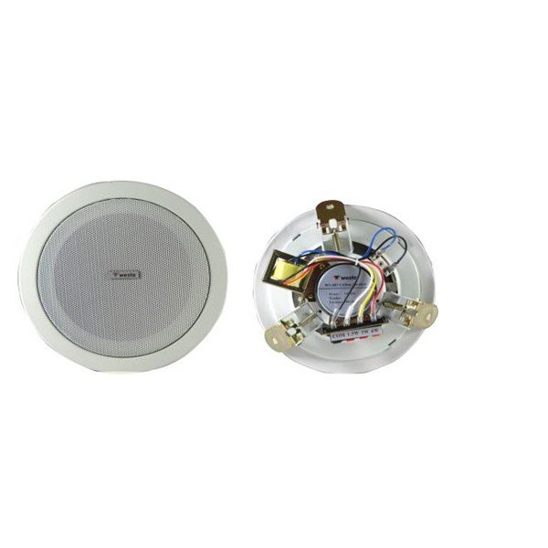 Westa WS-807 13cm 6W Tavan Hoparlörü