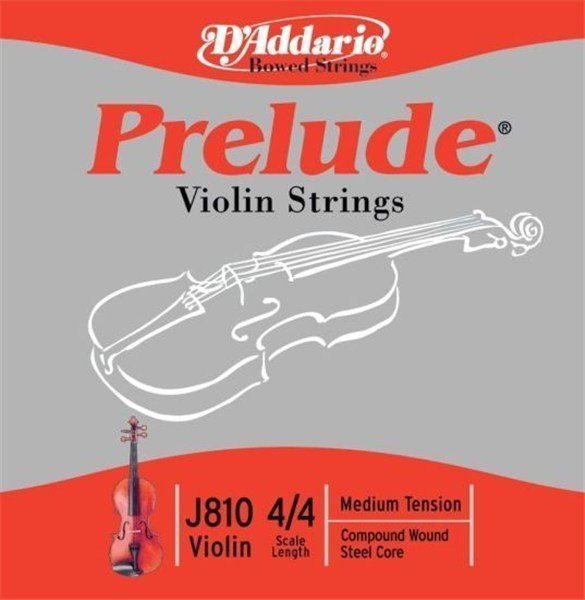 DAddario - J810
