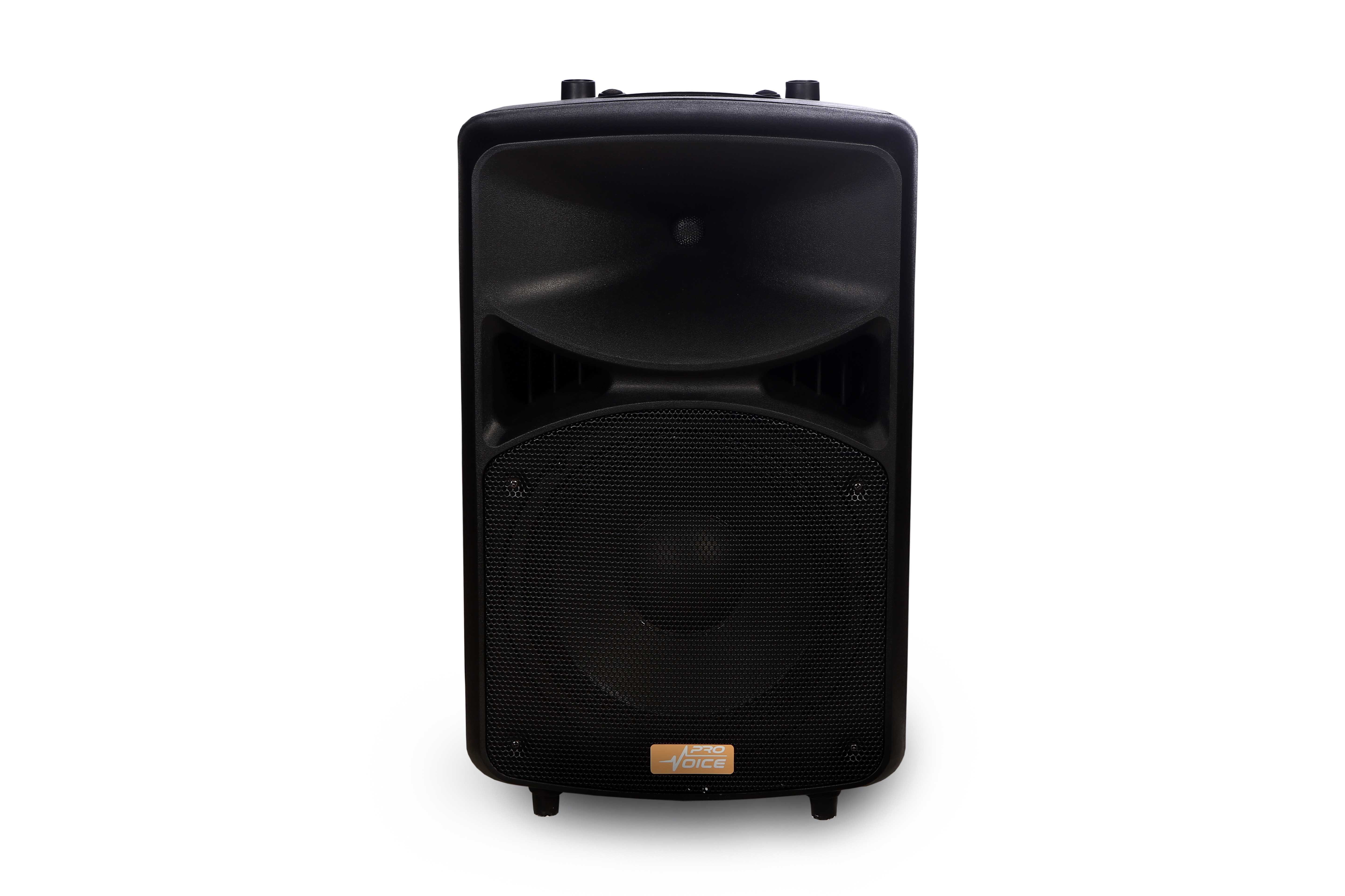 Provoice HP-10 450W 10 İnç 2 Yollu Pasif Kabin Hoparlör