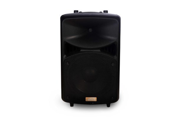 Provoice HP-15 800 Watt 15 İnç 2 Yollu Pasif Kabin Hoparlör