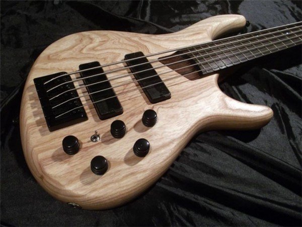 CORT - B5 OPN