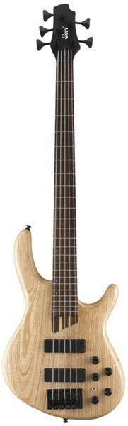 CORT - B5 OPN