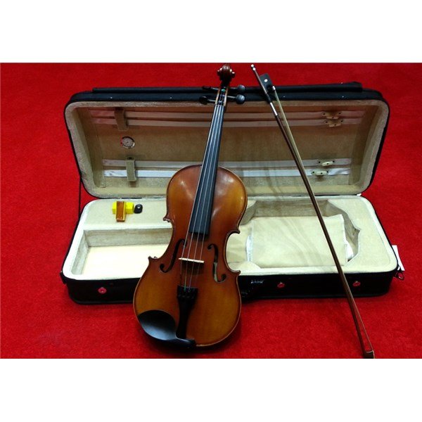 Carlovy VAA8 15'' Viola