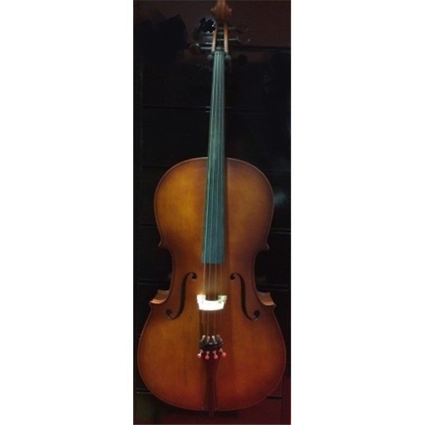 Bergner BEC-01-44 Abanoz Aksamlı 4/4 Çello