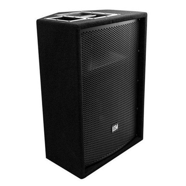 Leem Cxn-12 12-inch 1000W Pasif Sahne Monitörü