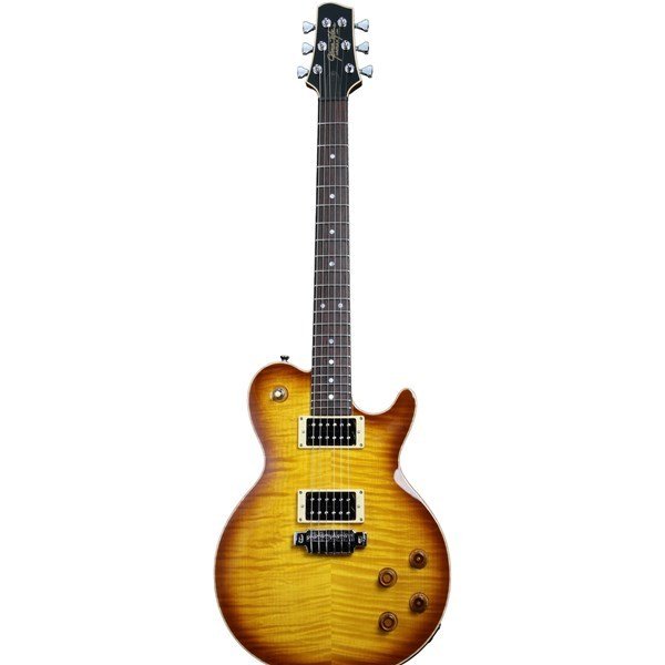Line 6 JTV-59 USA James Tyler Variax Elektro Gitar