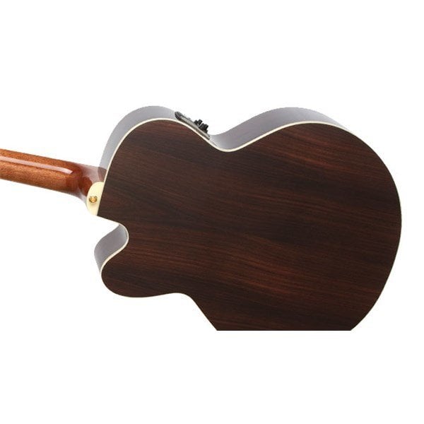 Epiphone Joan Sebastian ''Triunfadora'' Elektro Akustik Gitar
