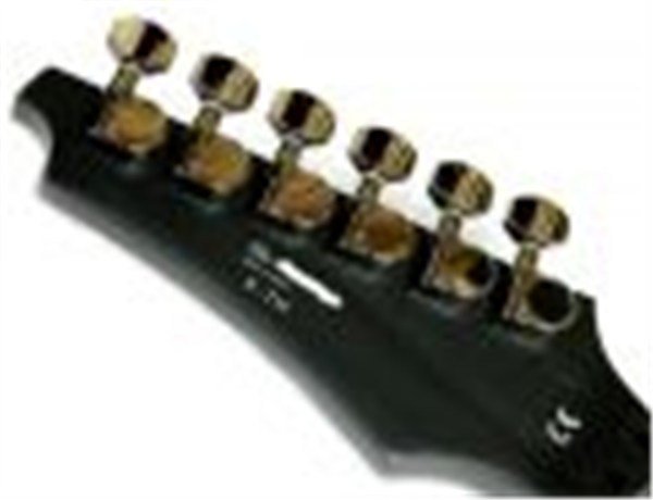 CORT X-TH OPBK