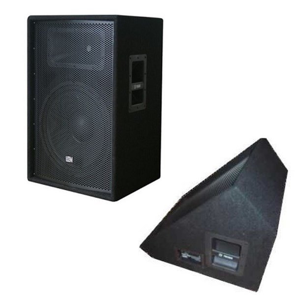Leem CXN-15M 15-inch 600/1200W Sahne Monitörü