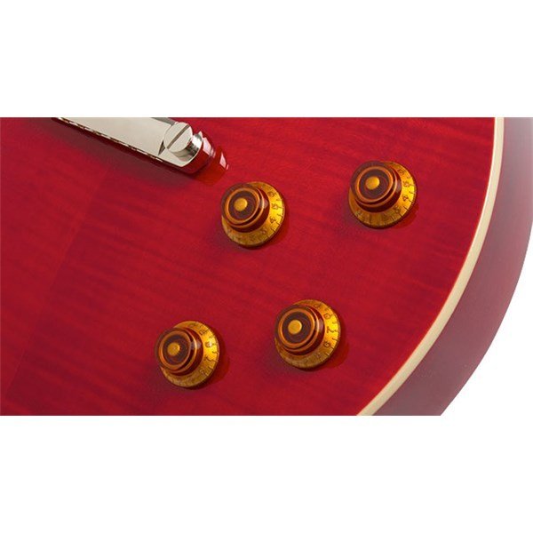 Epiphone Les Paul Standard PlusTop PRO Wine Red Elektro Gitar