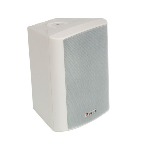 Westa WS-4 W (Beyaz) 10 cm 100W/8 ohm Kabin Hoparlör (Çift)