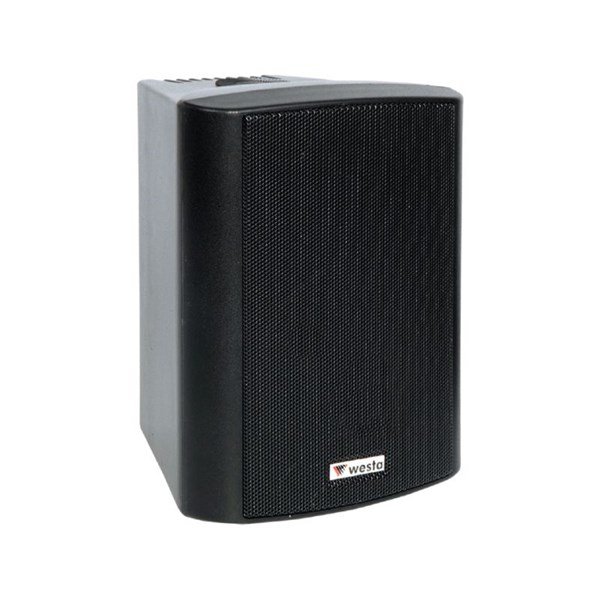 Westa WS-5TB (Siyah) 5 inç 125W Trafolu Kabin Hoparlör (Çift)