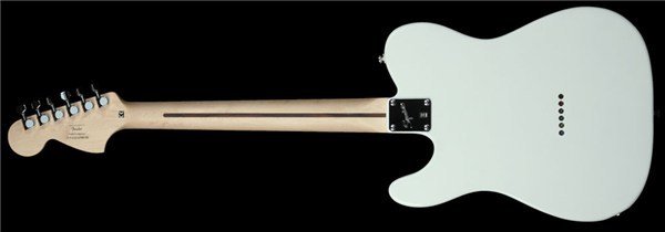 Fender Deryck Whibley Telecaster  w