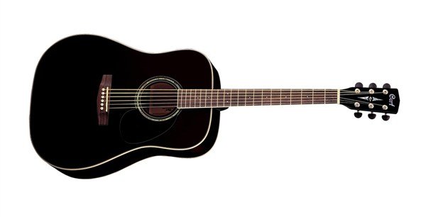 CORT - EARTH100BK