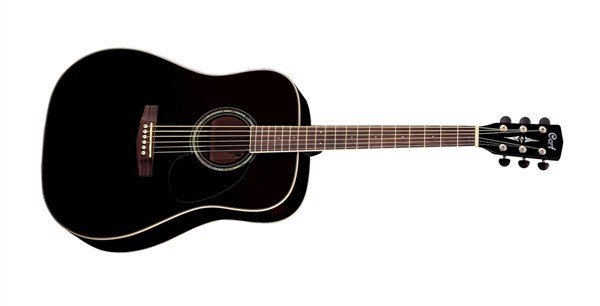 CORT - EARTH100BK