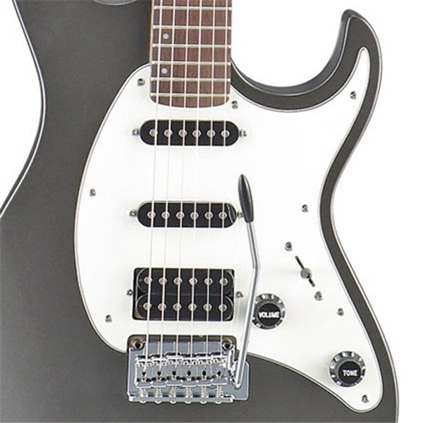 CORT - G210 GM