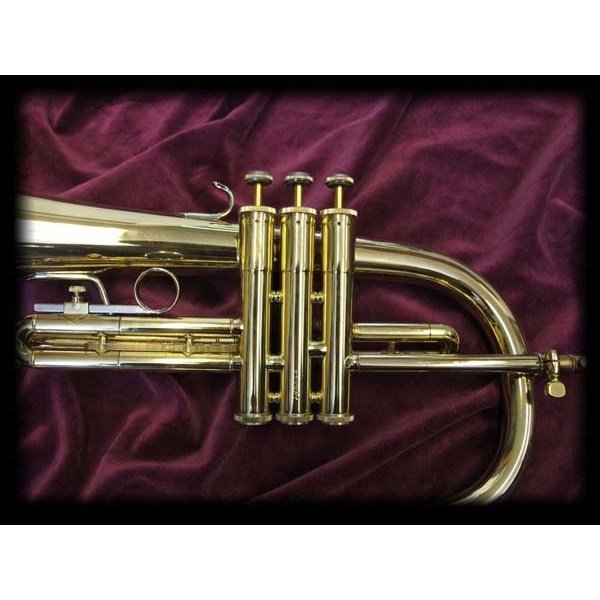 Bach FH200 Flugel Horn