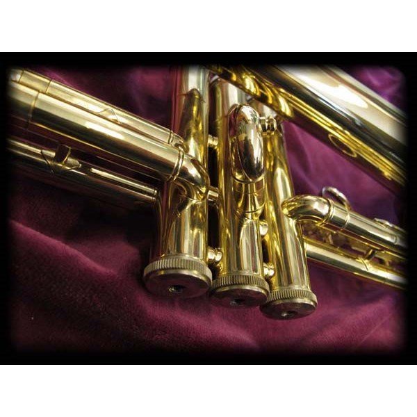 Bach FH200 Flugel Horn