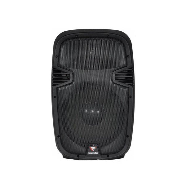 Westa WSS-1215 - 12 inç 300W 2-Yollu Plastik Pasif Kabin