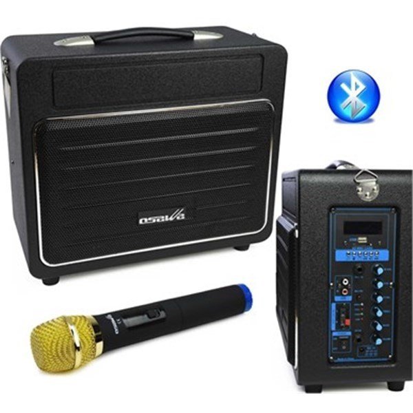 Osawa OSW-9120 100 Watt Taşınabilir Ses Sistemi