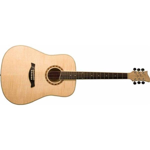 Jay Turser HDD18 Akustik Gitar