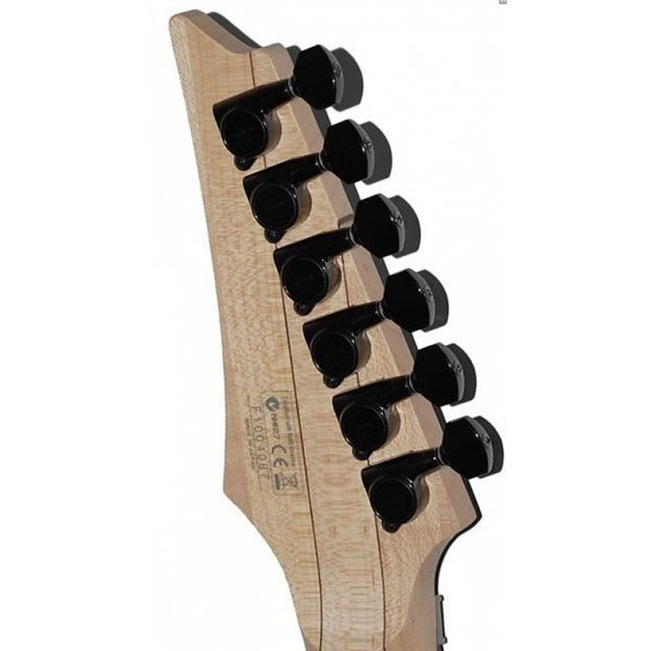 Ibanez - RGA220Z CYB
