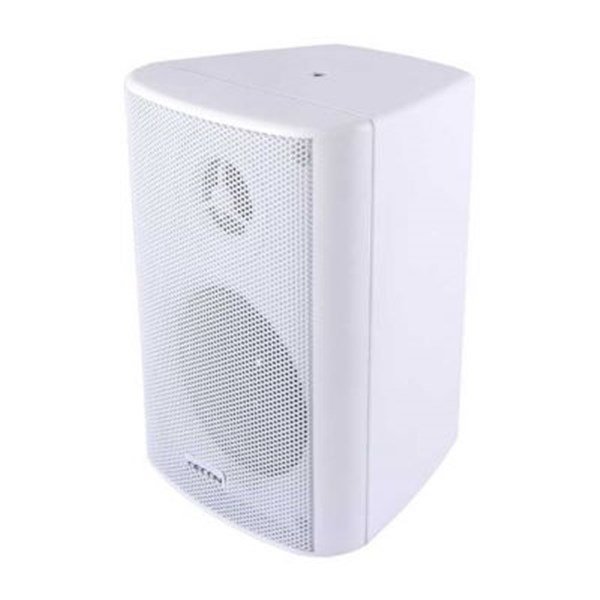 Decon PRO 5TW 5-inç 30W 100V/8 ohm 160W Kabin Hoparlör (Çift)