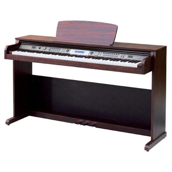 Medeli - DP 263 VENGE