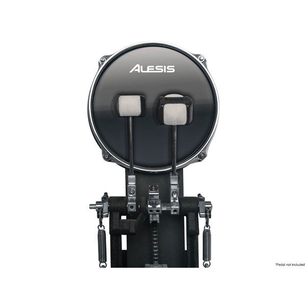 Alesis Dm10 X Kit Mesh Elektronik Davul Seti