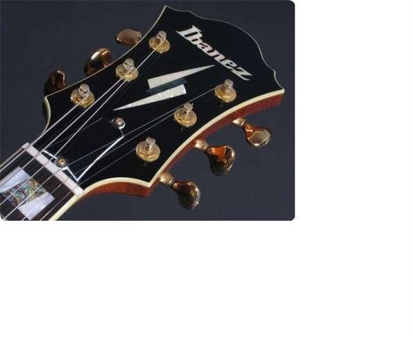 Ibanez PM120 NT Caz Kasa Elektro Gitar