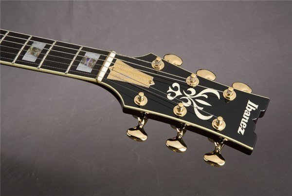 Ibanez JSM100 VT Caz Kasa Elektro Gitar